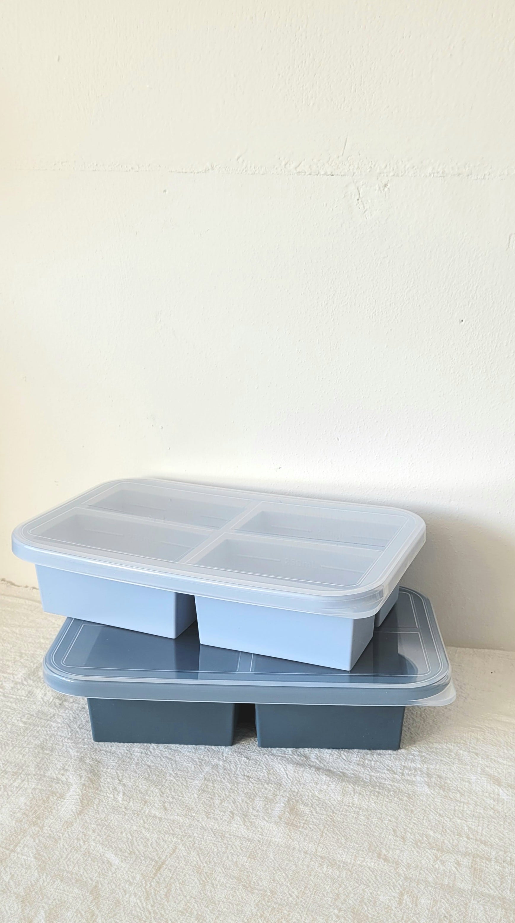 Diepvriesvorm 4x 250 ml