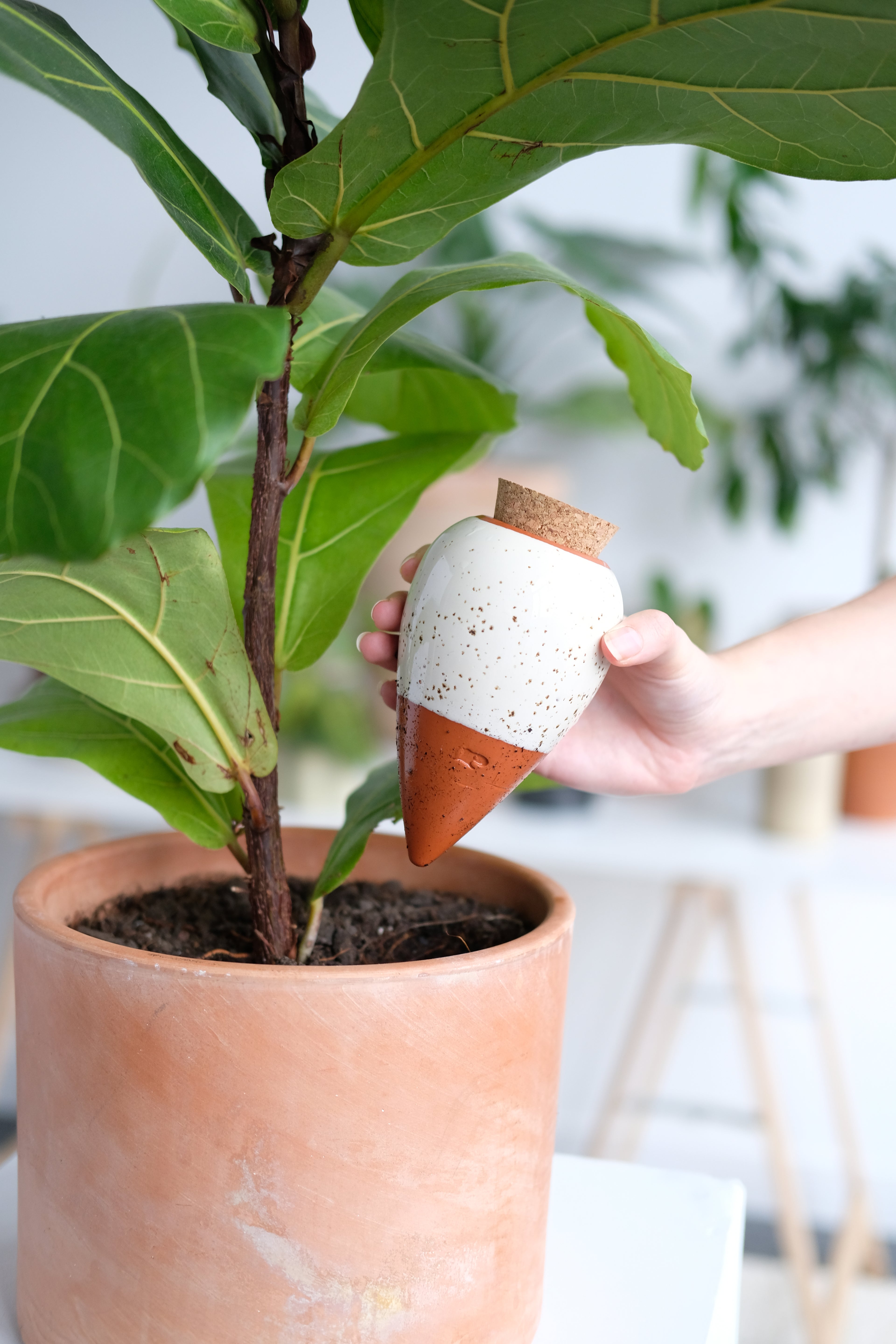 Hydrating Olla - wit gespikkeld