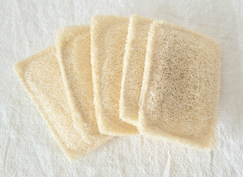 Luffa-Scheuerschwamm