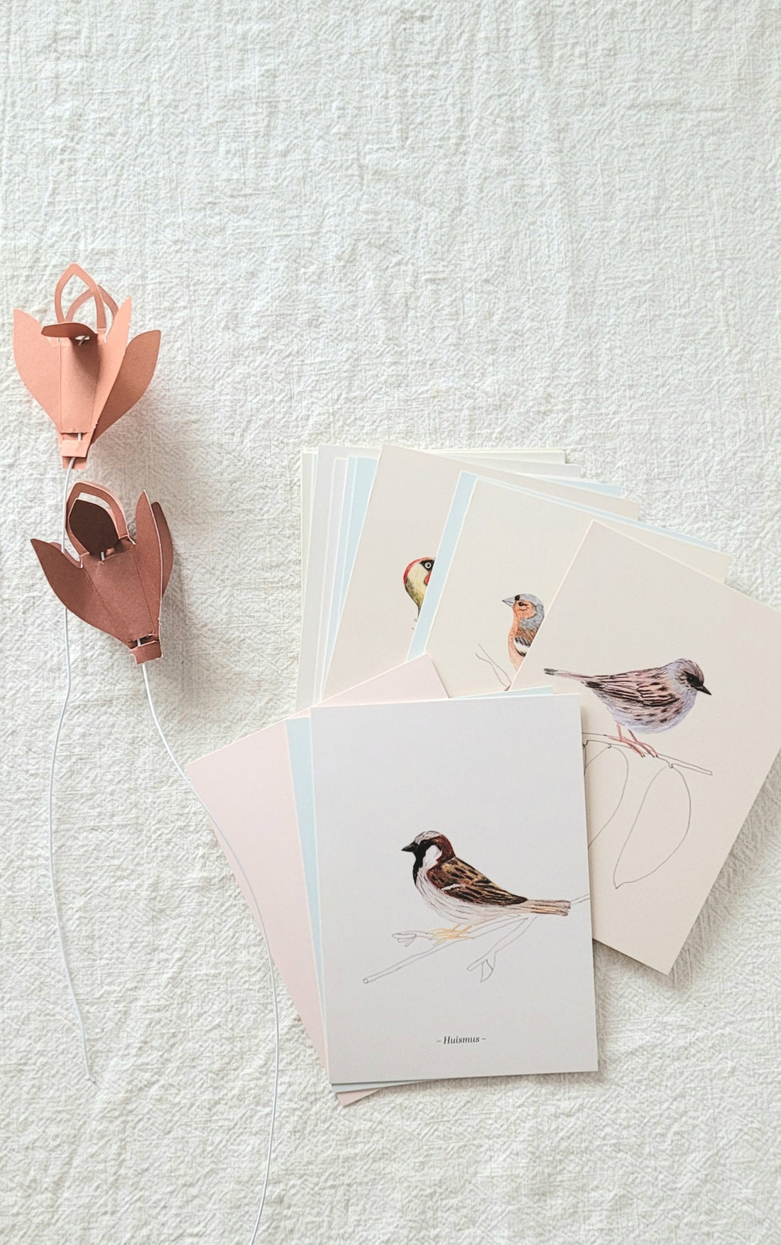 Bird card book - 32 pieces