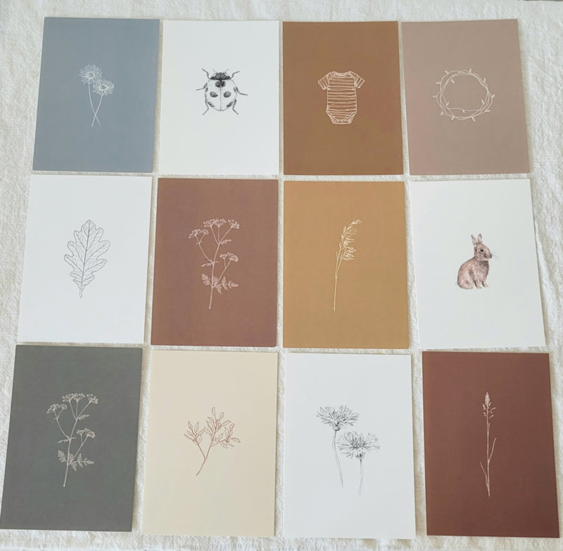 Kaartenset (12 stuks) botanische minimalistische prints