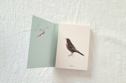 Vogelkartenbuch - 32 Teile