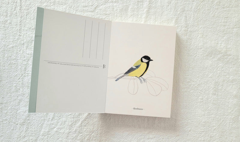 Vogelkaartenboekje - 32 stuks