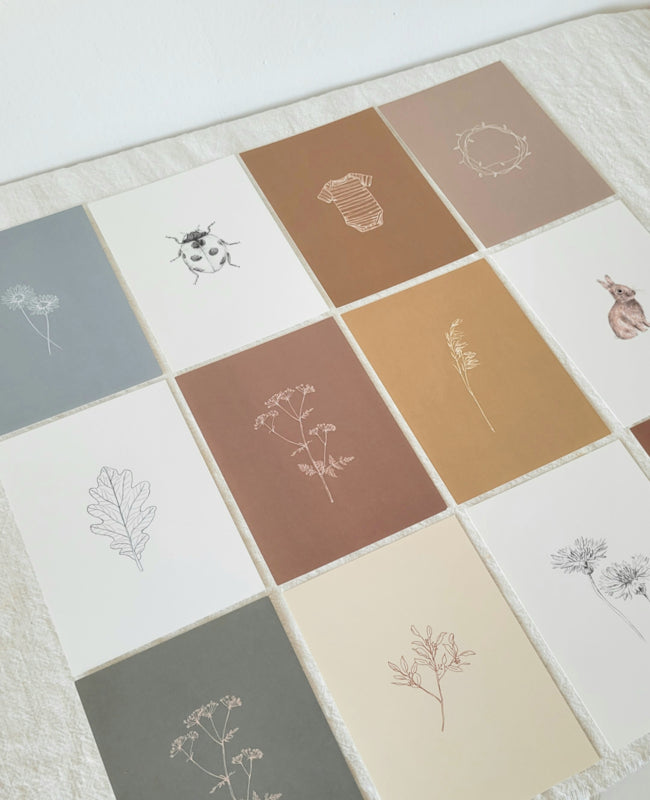 Kaartenset (12 stuks) botanische minimalistische prints